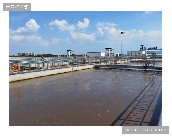 为应付认证而短期达标，日常运营中放松水质管理，这种“选择性执行”正在埋下隐患